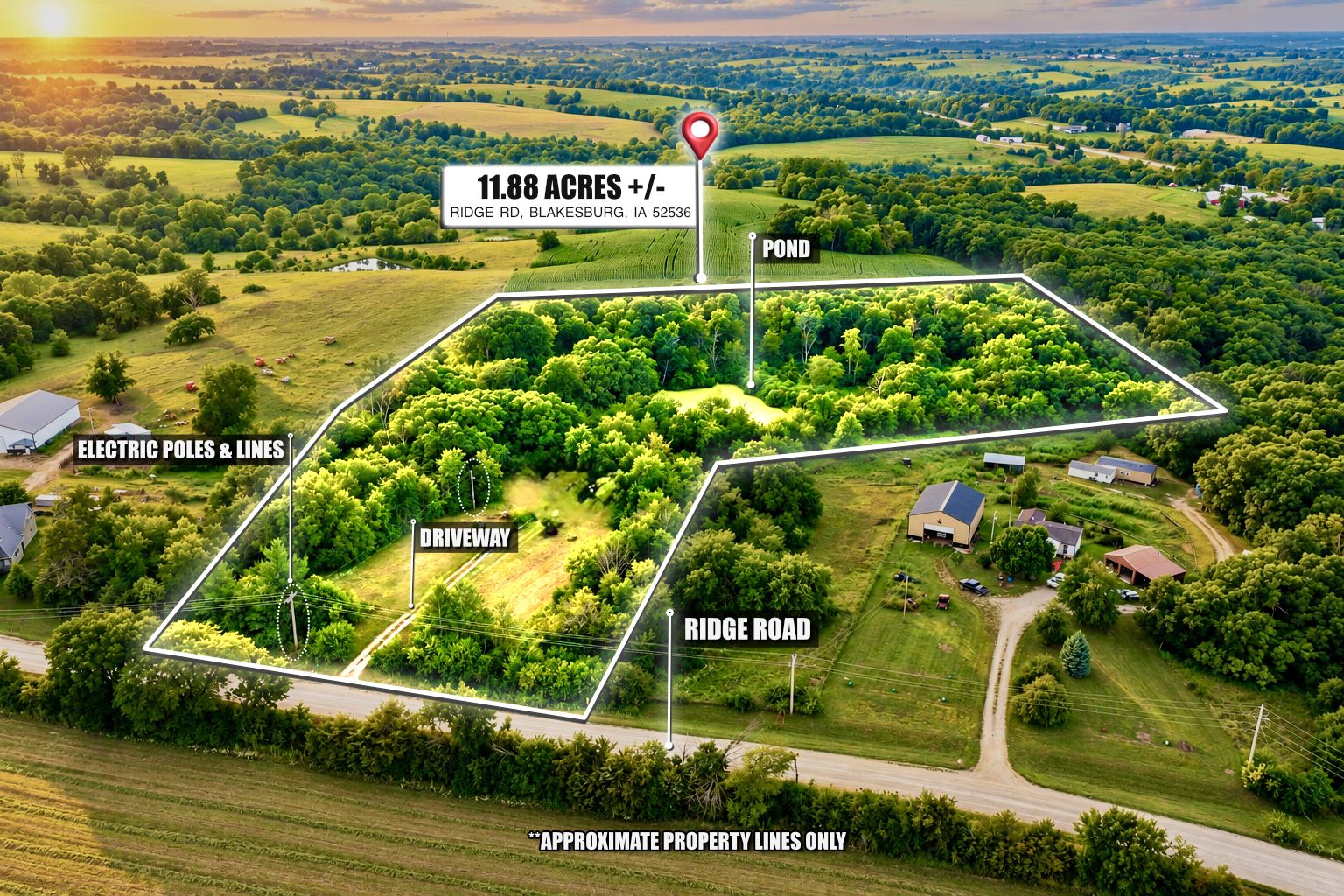 Listing #19851